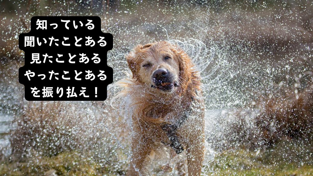 犬が水を振り払っている画像と「知っている、聞いたことある、見たことある、やったことある」の文字